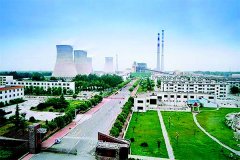 国电菏泽电厂项目采用上海芭乐视频成人APP下载橡